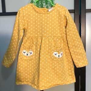 Koala kids fleece dress with pockets. Size 4T